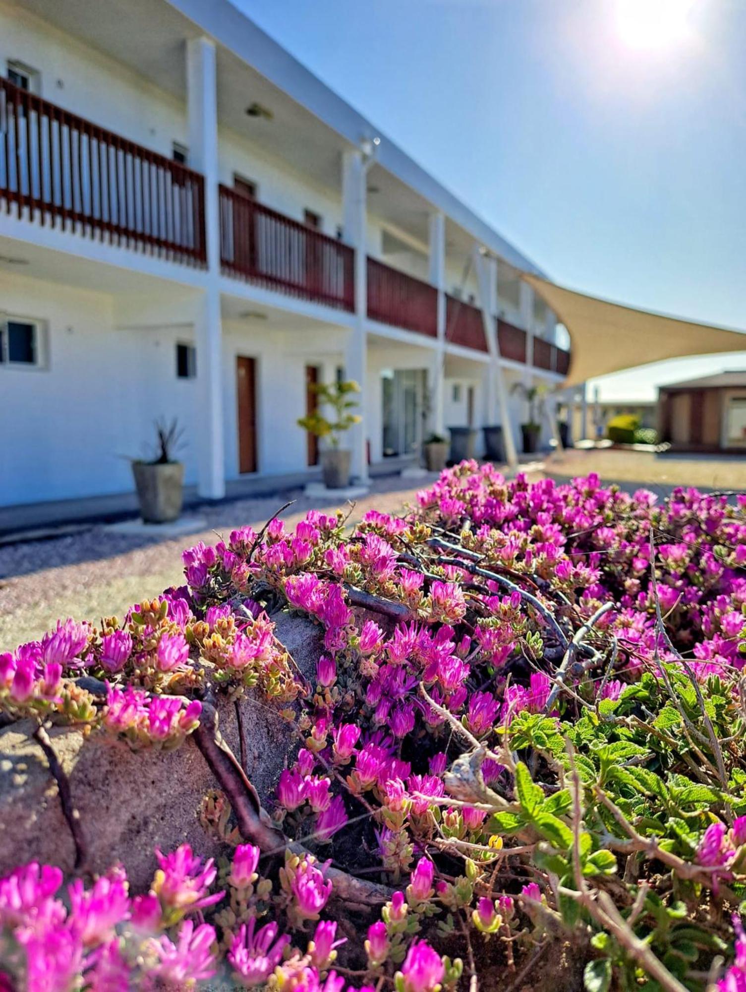 Zen Boutique Apart Hotel La Paloma Exterior foto